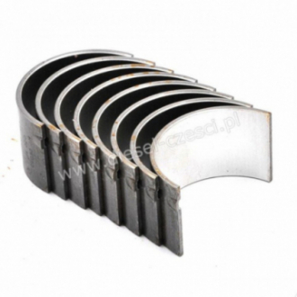 PANEWKI KORBOWODOWE IHC...