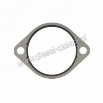 CUMMINS, CONNECTION GASKET