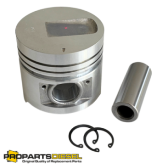 PISTON WITH PIN AND CLIPS...
