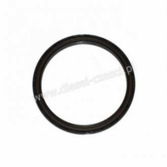 CRANSKSHAFT OIL SEAL REAR...
