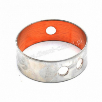 PANEWKA WAŁKA ROZRZĄDU...