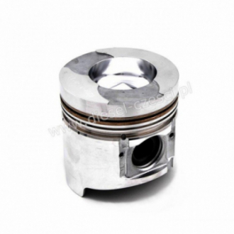 PISTON WITH PIN & CLIPS...