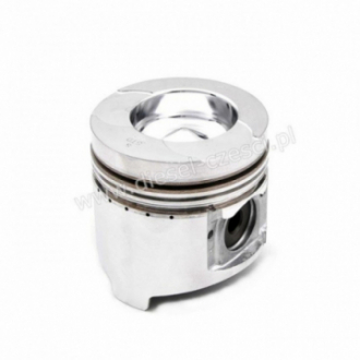 PISTON WITH PIN & CLIPS...