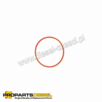 VALVE COVER O-RING LIEBHERR