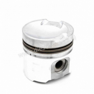 PISTON WITH PIN AND CLIPS...