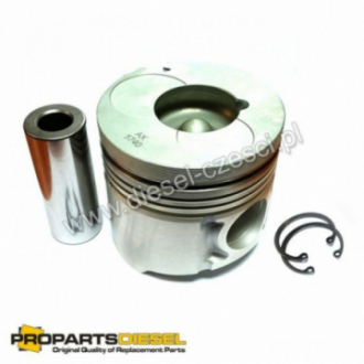 PISTON WITH PIN AND CLIPS...