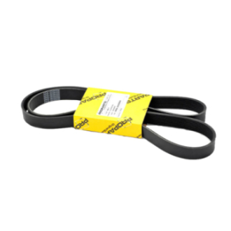 PASEK WIELOKLINOWY PERKINS OEM