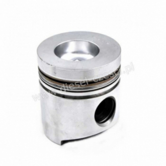 PISTON WITH PIN & CLIPS...