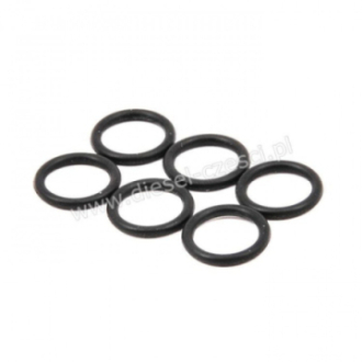 O-RING WODNY HANOMAG