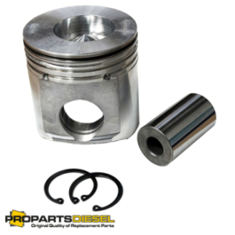 PISTON WITH PIN & CLIPS...
