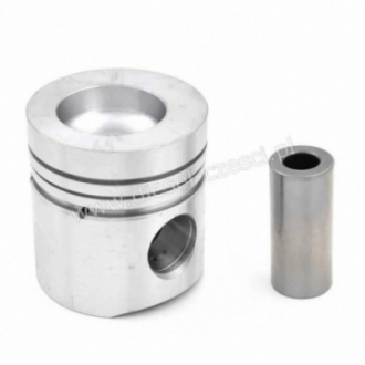 PISTON WITH PIN CASE D246