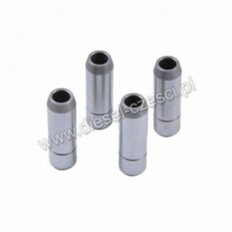 PROWADNICA ZAWOROWA IN/EX...