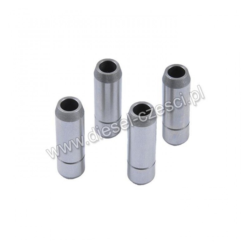 VALVE GUIDES