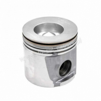 PISTON WITH PIN & CLIPS...