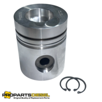 PISTON WITH PIN AND CLIPS...
