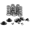 VALVE SPRINGS / CAPS / LOCKS